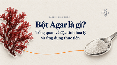 Bột Agar là gì? Tổng quan về đặc tính hóa lý và ứng dụng thực tiễn