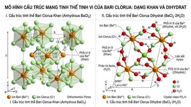Bari Clorua (BaCl2) là gì? Tổng quan về tính chất và ứng dụng thực tế