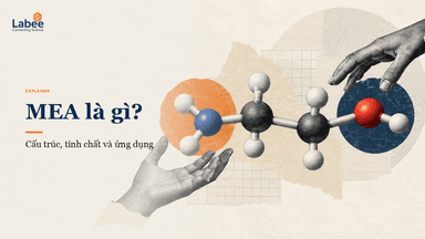 Mono Ethanol Amine (MEA) là gì? Tổng quan tính chất và ứng dụng công nghiệp