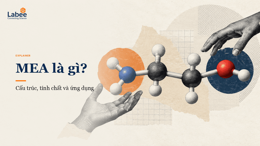 Dạng lỏng trong suốt của dung dịch Mono Ethanol Amine tinh khiết trong lọ thủy tinh phòng thí nghiệm