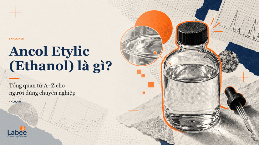 Cấu trúc phân tử 3D của Ancol Etylic (C2H5OH) thể hiện nhóm Hydroxyl -OH và nhóm Etyl