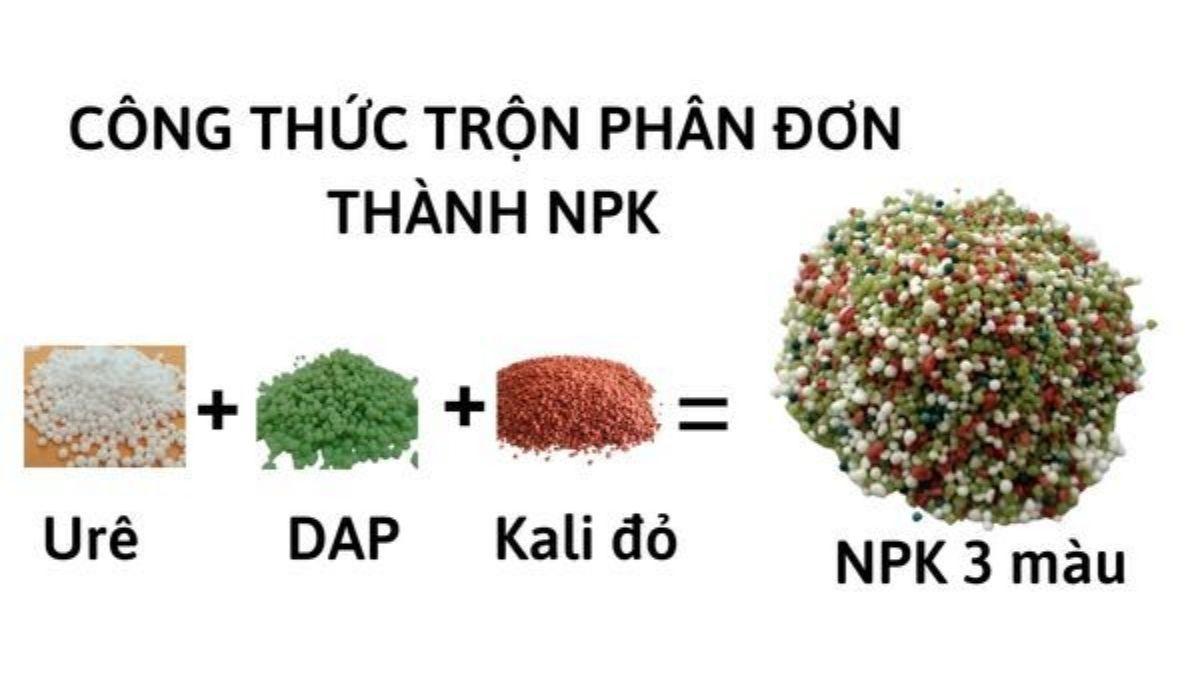 Các mẫu phân đơn phổ biến như đạm urea hạt đục, lân superphosphate và kali đỏ