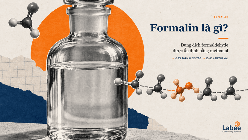 Mô hình phân tử Formaldehyde CH₂O và chai hóa chất Formalin 37% chuẩn phân tích trong phòng thí nghiệm