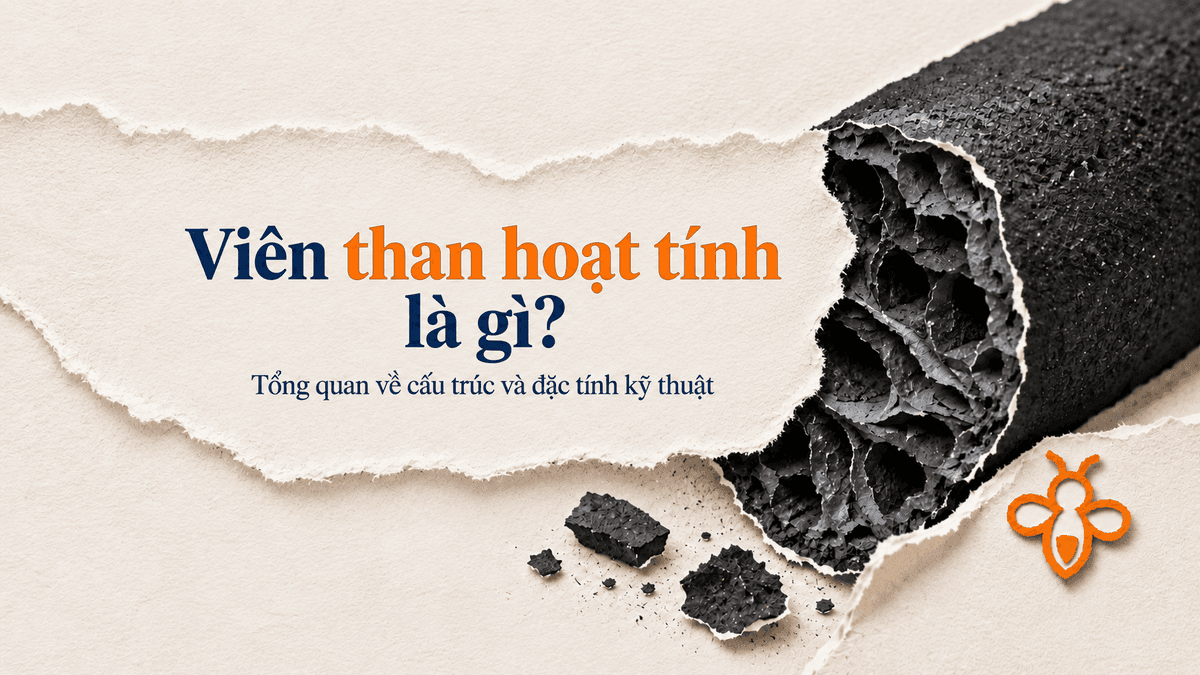 Hình ảnh các viên than hoạt tính hình trụ màu đen đồng đều nằm cạnh hạt gáo dừa thô và bột than