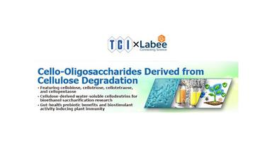 Cello-oligosaccharides từ quá trình phân hủy Cellulose và tiềm năng ứng dụng trong công nghệ sinh học