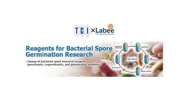 Germinants và Germination Inhibitors là gì? Hợp chất kích thích và ức chế nảy mầm bào tử vi khuẩn