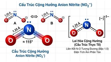 Nitrite là gì? Bản chất hóa học và ý nghĩa trong xét nghiệm y khoa