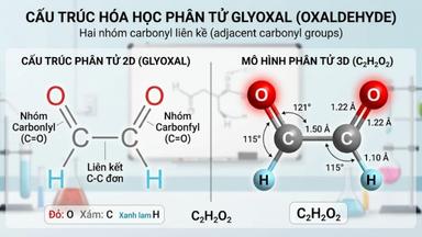 Glyoxal (Andehit Oxalic) là gì? Tổng quan về tính chất và ứng dụng