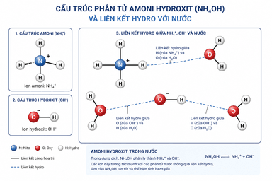 NH4OH là gì? Tổng quan về Amoni Hydroxit và ứng dụng thực tế