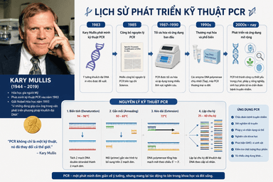 PCR là gì? Tổng quan về kỹ thuật khuếch đại DNA "Tiêu chuẩn vàng"