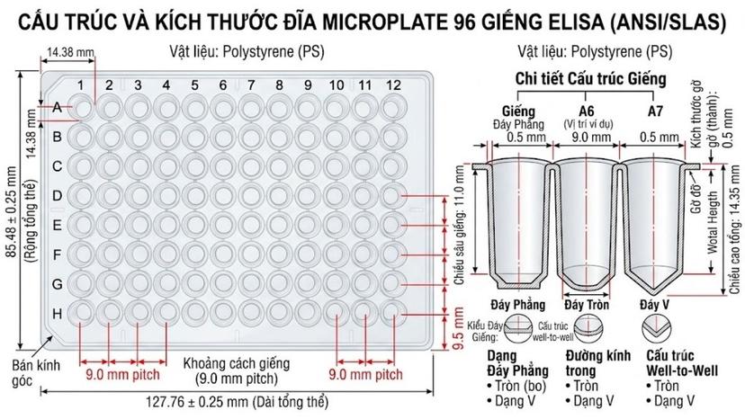 Sơ đồ chi tiết cấu tạo đĩa ELISA 96 giếng và kích thước chuẩn ANSI/SLAS