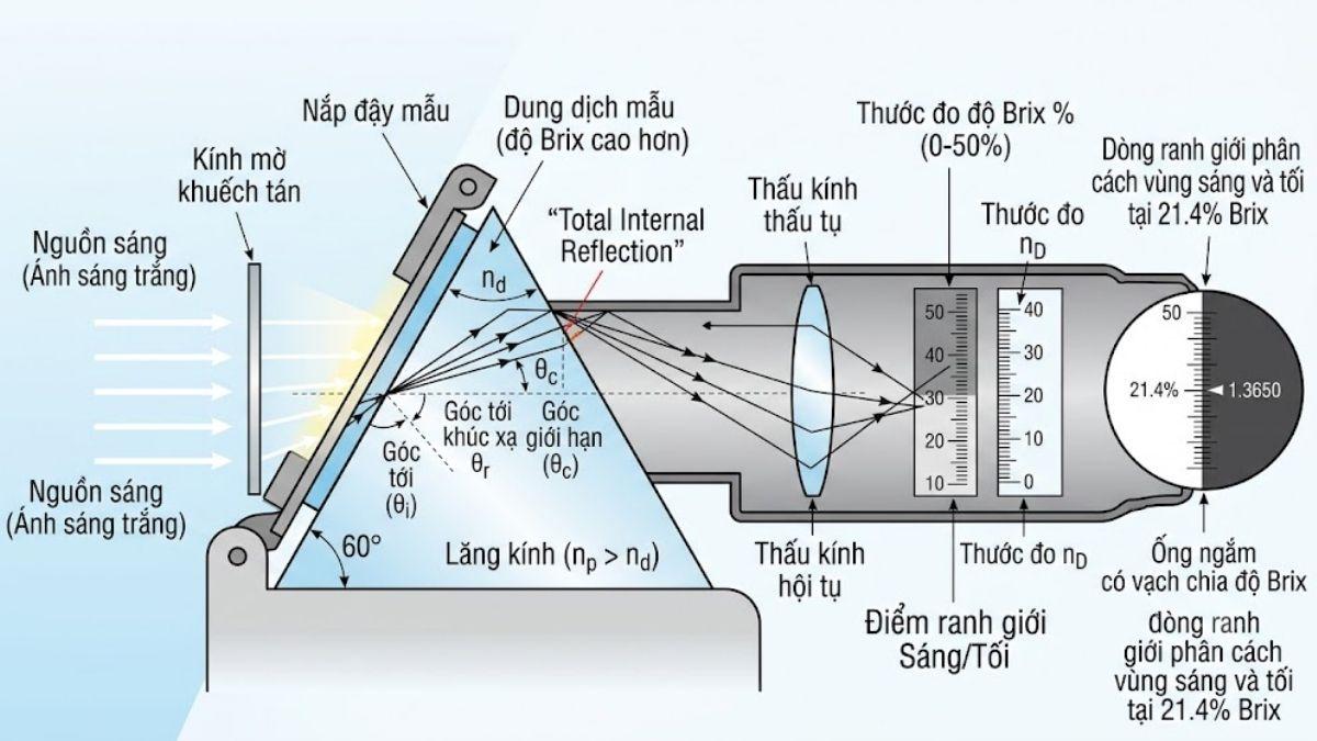 Sơ đồ khúc xạ ánh sáng qua mẫu dung dịch trên lăng kính của khúc xạ kế đo độ Brix