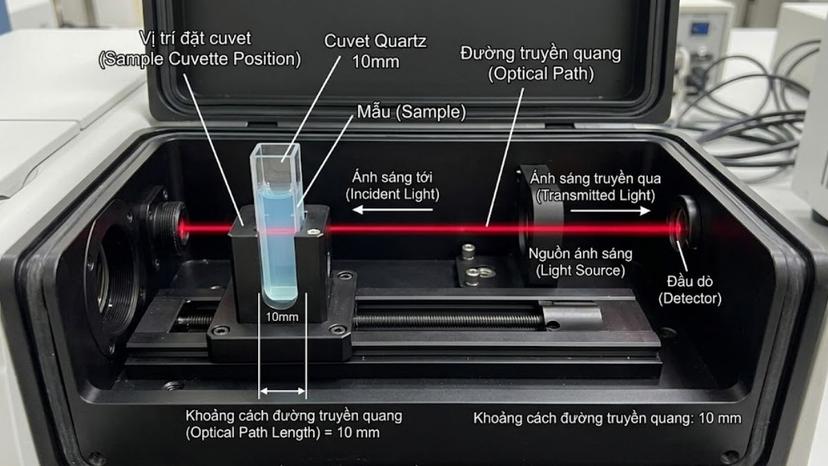 Chi tiết khoang chứa mẫu của máy quang phổ UV-Vis chỉ rõ vị trí đặt cuvet và khoảng cách đường truyền quang