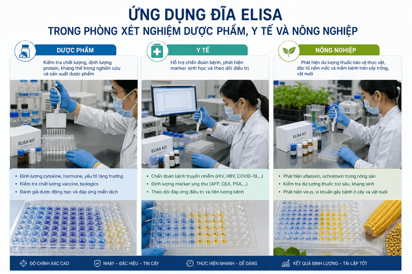 Ứng dụng đĩa ELISA trong phòng xét nghiệm dược phẩm, y tế và nông nghiệp
