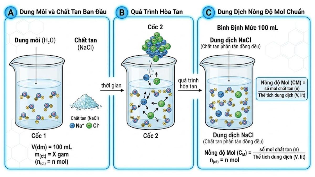 Sơ đồ minh họa phân tử chất tan phân tán trong dung môi tạo thành dung dịch nồng độ mol chuẩn