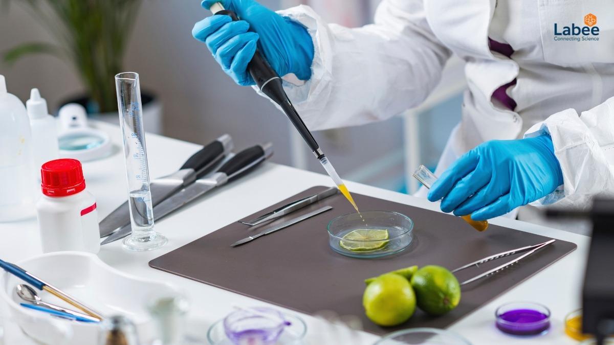 Mô hình phòng Lab F&B phải tuân thủ HACCP và ISO 22000