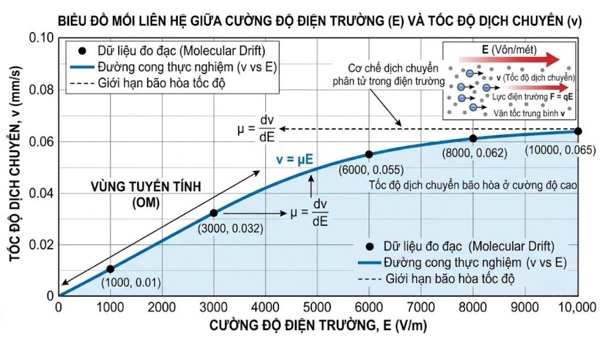 Đồ thị biểu diễn mối liên hệ giữa cường độ điện trường E và tốc độ dịch chuyển v của phân tử