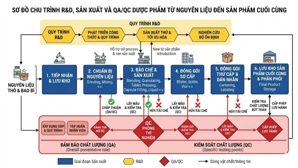 Sơ đồ chu trình R&D và QA/QC từ nguyên liệu thô đến sản phẩm cuối cùng trong nhà máy dược