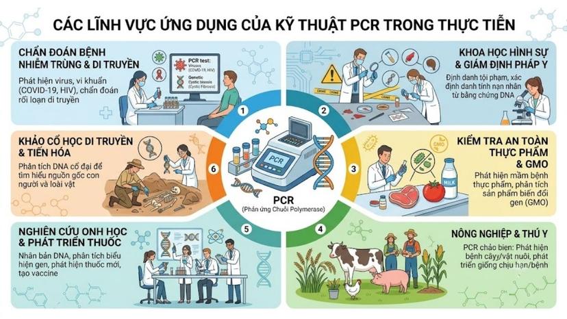 Các lĩnh vực ứng dụng của kỹ thuật PCR trong thực tiễn