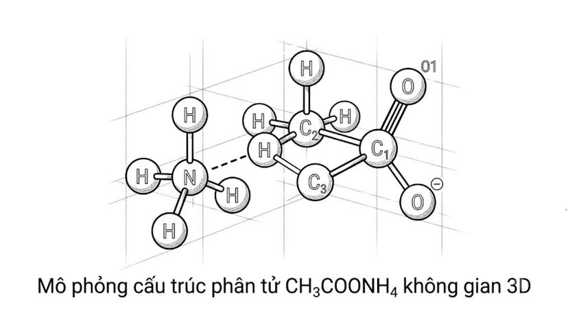 Mô hình mô phỏng cấu trúc phân tử CH3COONH4 không gian 3D
