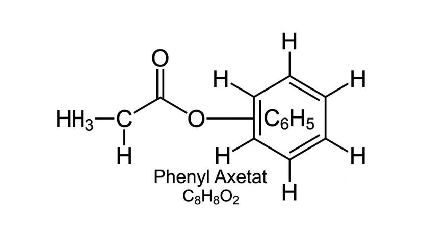 Công thức cấu tạo hóa học phẳng 2D của Phenyl Axetat hiển thị rõ liên kết este thơm