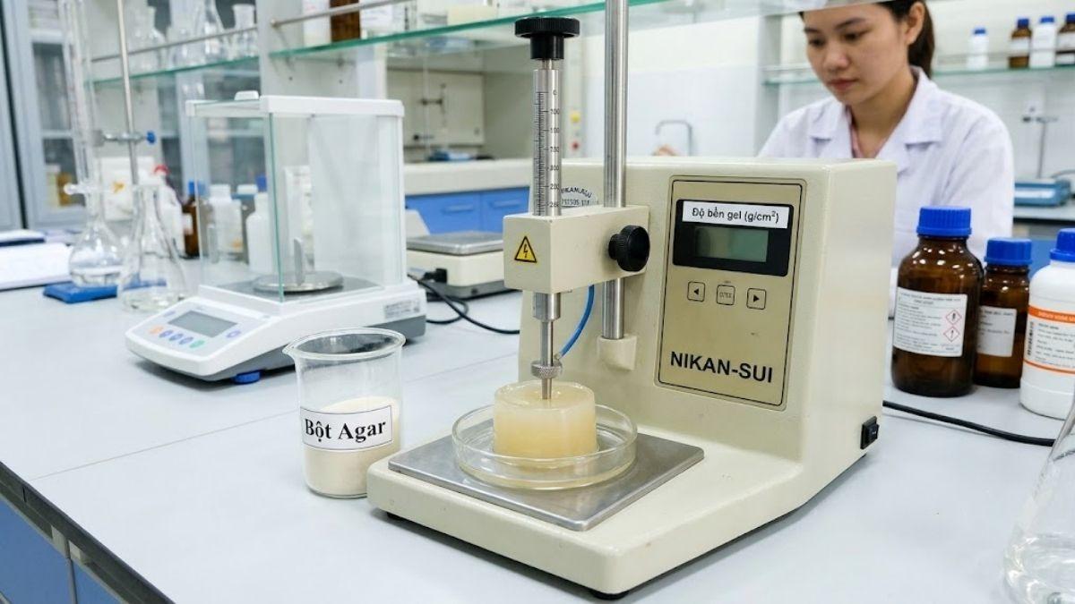 Thiết bị đo độ bền gel Nikan-Sui kiểm tra bột Agar phòng thí nghiệm
