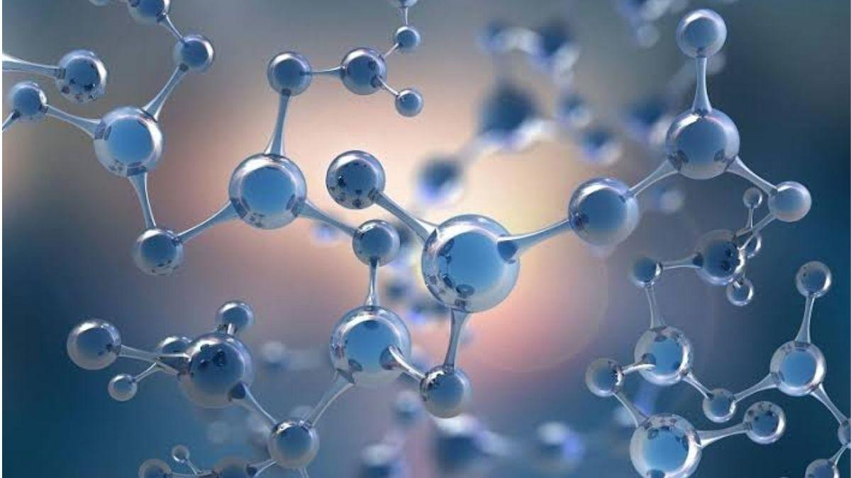 So sánh quy mô nanomet với DNA, vi khuẩn và tóc người dưới kính hiển vi