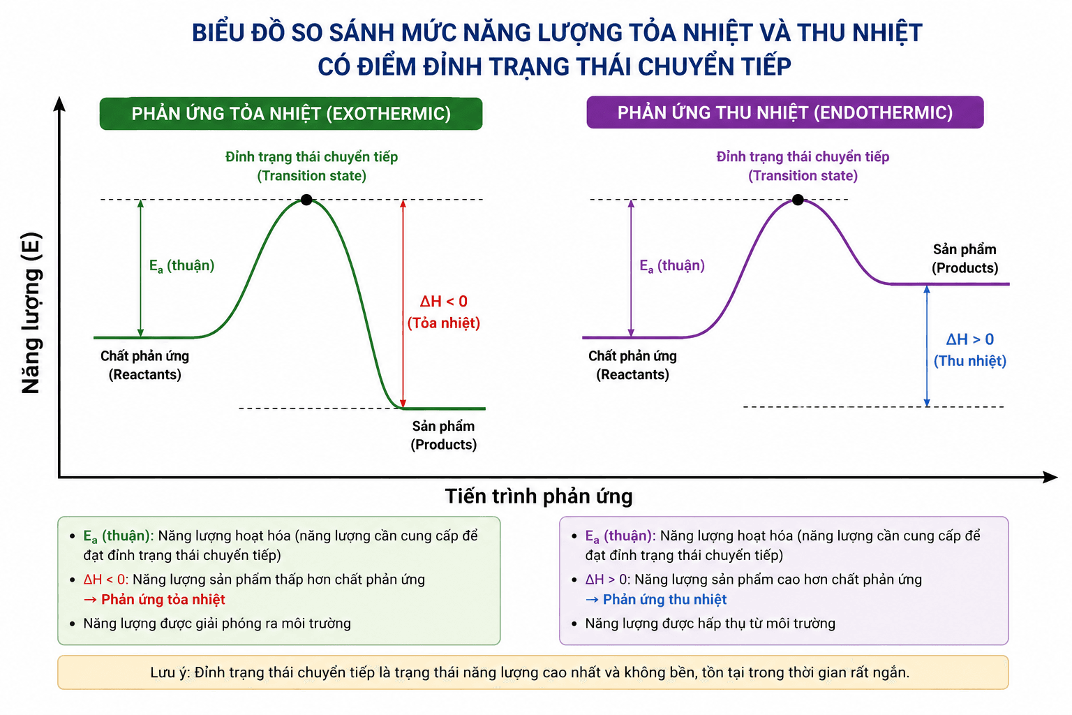 Biểu đồ so sánh mức năng lượng tỏa nhiệt và thu nhiệt có điểm đỉnh trạng thái chuyển tiếp