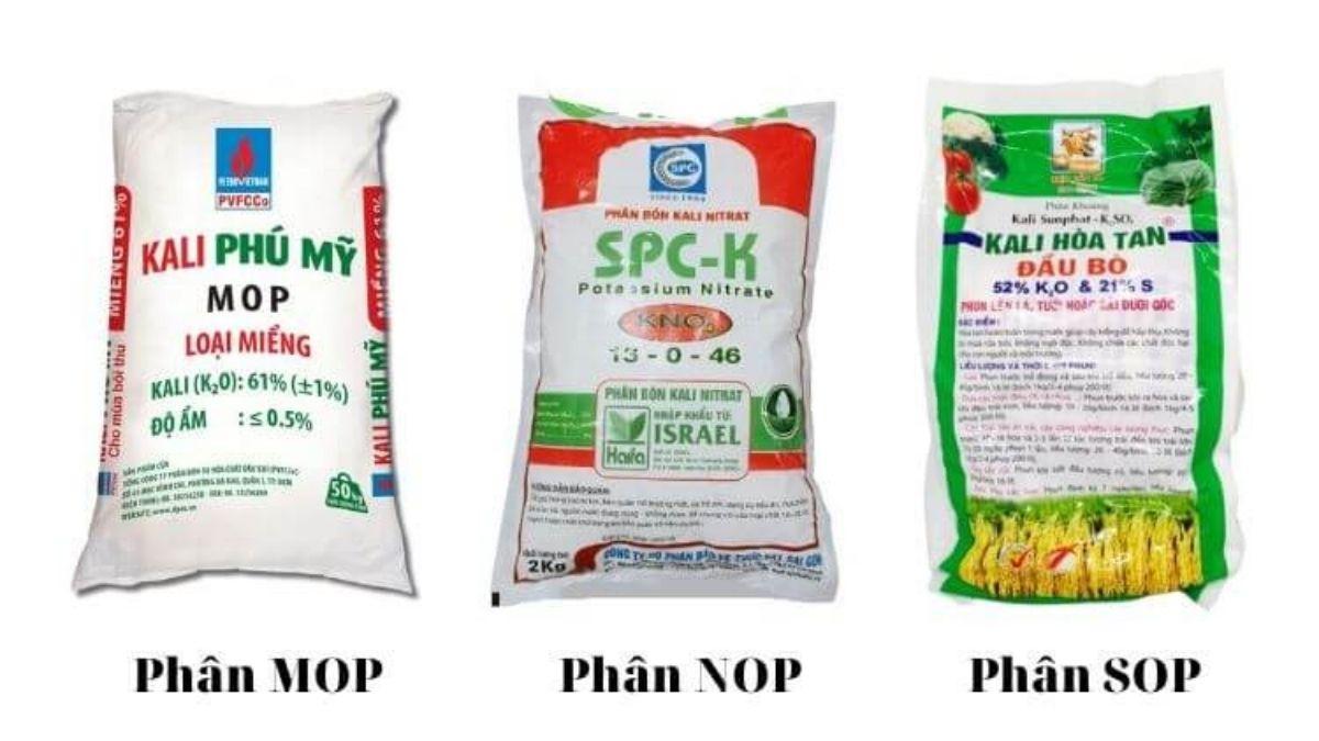 Một số loại phân bón kali