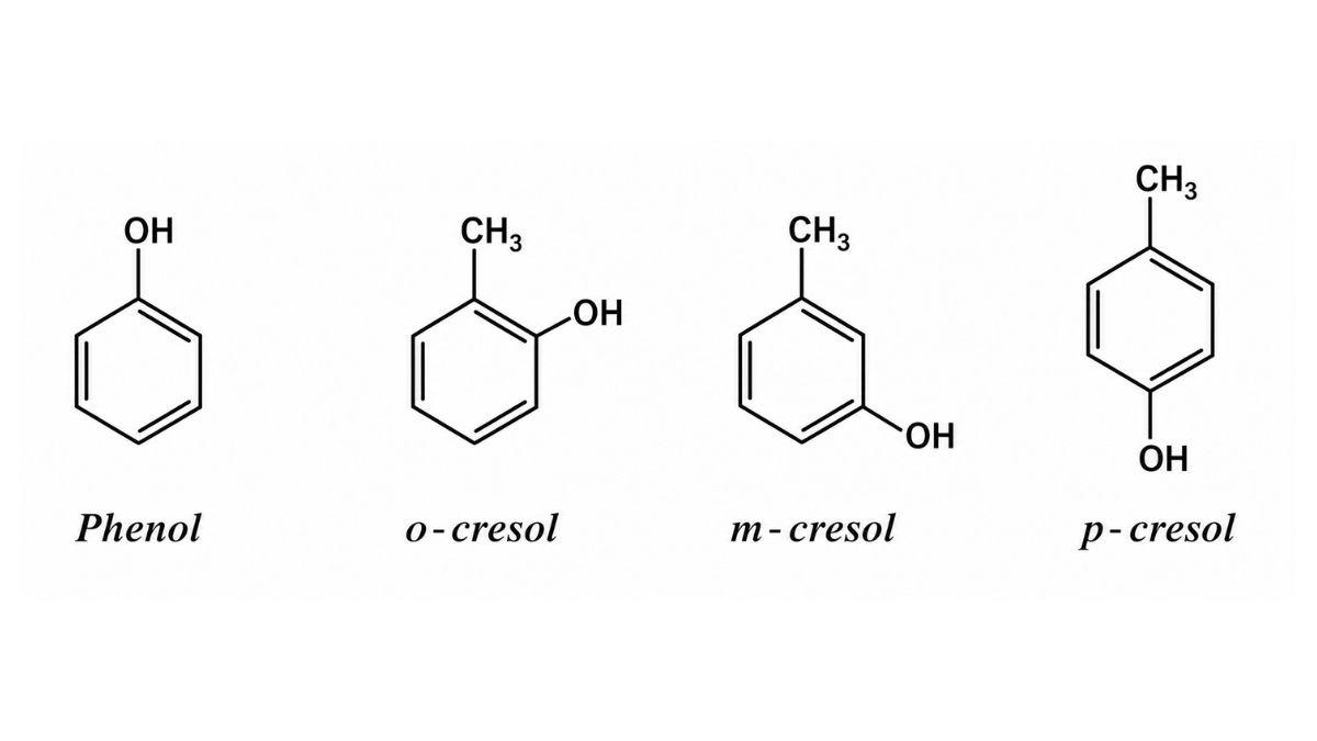 Bảng minh họa công thức cấu tạo 2D của 3 đồng phân o-cresol, m-cresol, p-cresol