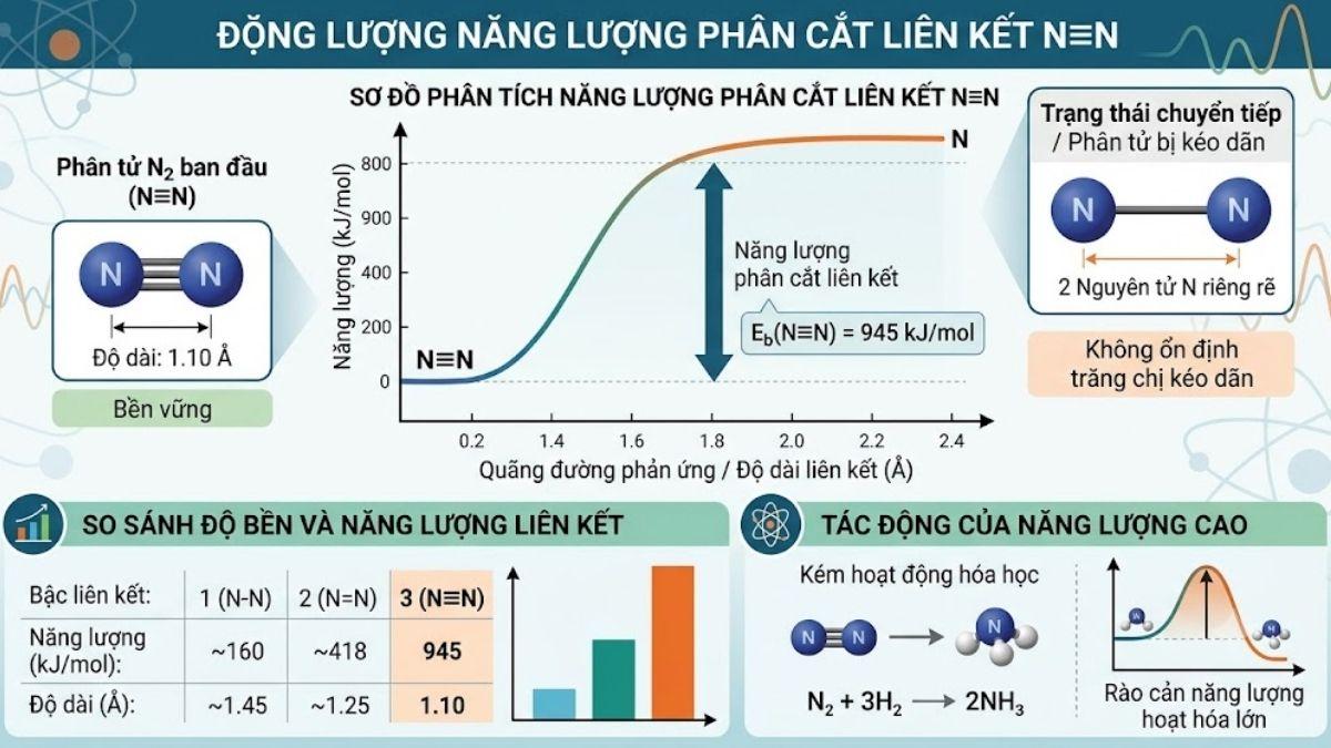 Đồ họa phân tích năng lượng phân cắt liên kết ba bền vững N≡N