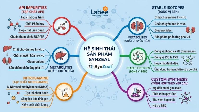 Sơ đồ tư duy (Mindmap) minh họa hệ sinh thái các dòng sản phẩm của SynZeal bao gồm API Impurities, Metabolites, Stable Isotopes, Nitrosamine và Custom Synthesis