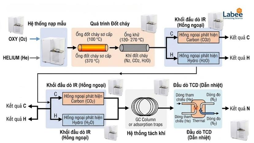 Sơ đồ luồng khí (Flow Diagram) minh họa quá trình đốt cháy và đầu dò IR, TCD của dòng máy phân tích nguyên tố 5E-CHN2200