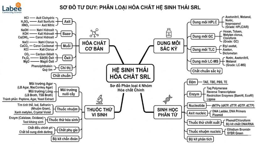 Sơ đồ tư duy (mindmap) phân loại 4 nhóm hóa chất chính của hệ sinh thái SRL gồm hóa chất cơ bản, dung môi sắc ký, thuốc thử vi sinh và sinh học phân tử