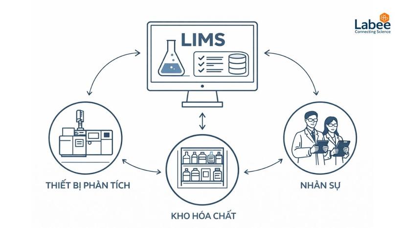 Đồ họa mô phỏng hệ thống LIMS đóng vai trò trung tâm kết nối thiết bị phân tích, kho hóa chất và nhân sự trong phòng Lab