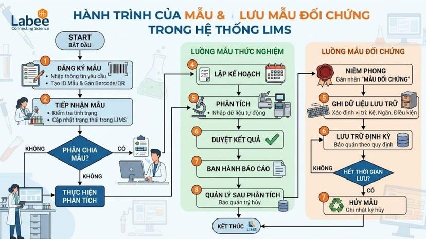 Biểu đồ flowchart minh họa hành trình của một mẫu từ lúc đăng ký đến khi lưu mẫu đối chứng trong LIMS